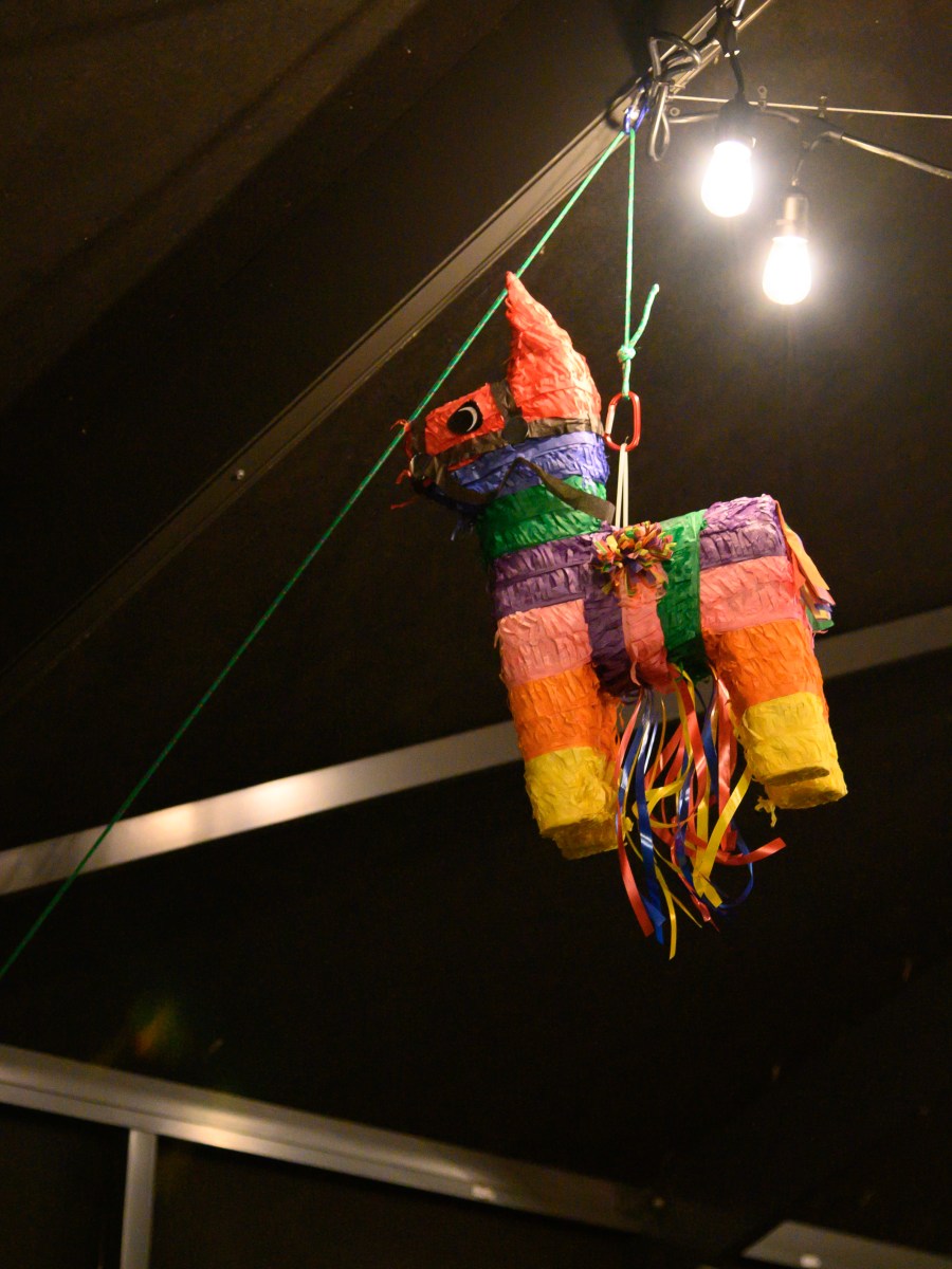 It’s a…. Gender&nbsp;reveal!